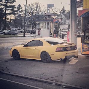 Spotted pumping gas on Willis Ave.