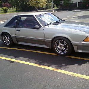 mustang side