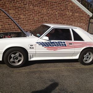Wife Mustang side 2