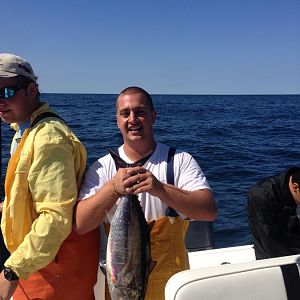 bluefin (released)