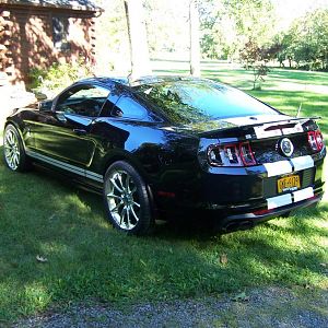 GT500 SHELBY 2 004