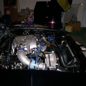 95 gt