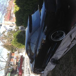 IMG 0174[1]