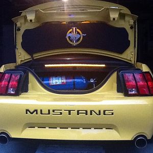 Trunk shot.