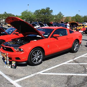 46502.jpg
