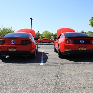 46505.jpg