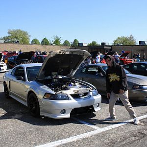 46512.jpg