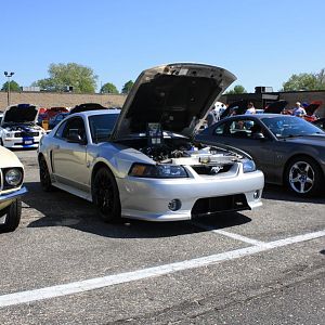 46513.jpg