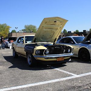 46514.jpg