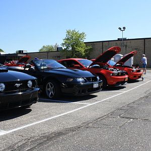 46521.jpg