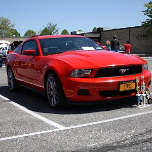 46530.jpg