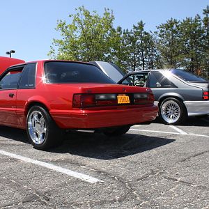 46548.jpg