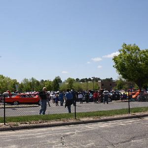 46555.jpg