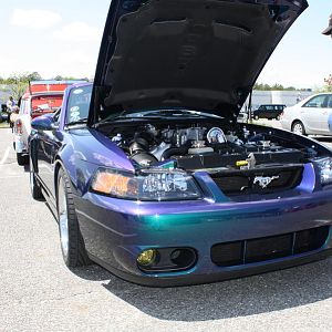 46587.jpg