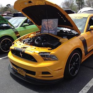 Stang Gang