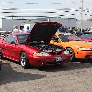 2014 50th Anniversary Mustang Show West Herr 033
My 98 Cobra