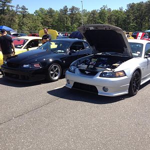 the line up