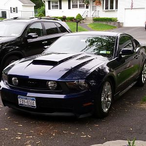 mustang new hood