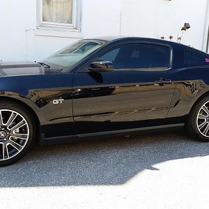 stang1