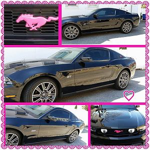 stang
