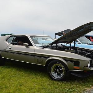 DSC 1711