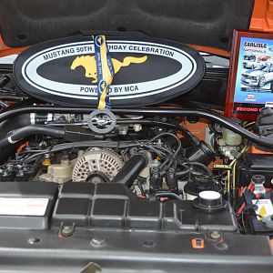 DSC 1704