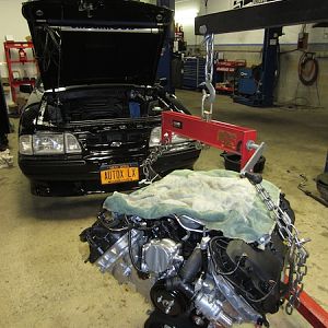 IMG 3425