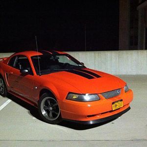 47911.jpg