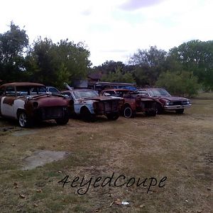 Pop's yard TX