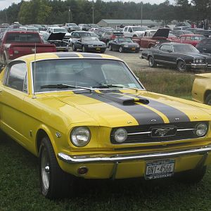 48617.jpg