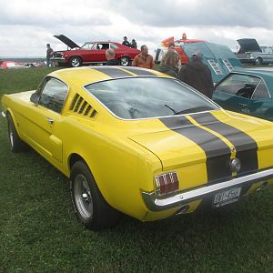 48618.jpg