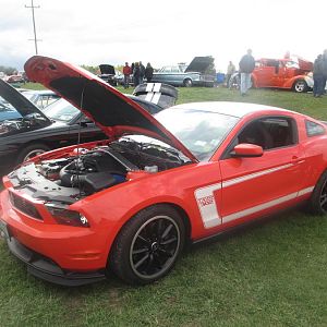 48621.jpg