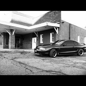 IMG 0370