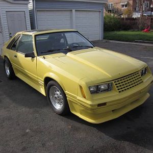 1979 mustang
