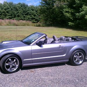 Stang