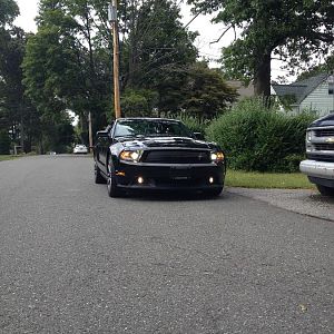 IMG 0635