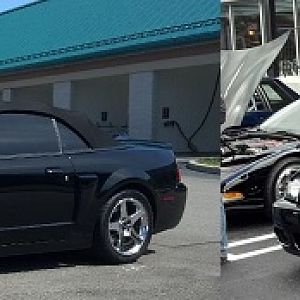cobra sig