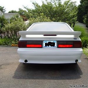 the mustang 019