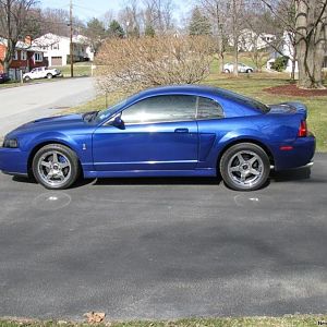 cobra