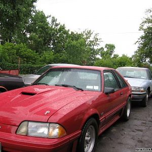 mustang 2