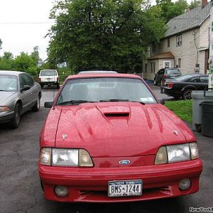 mustang 3