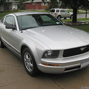 My stang