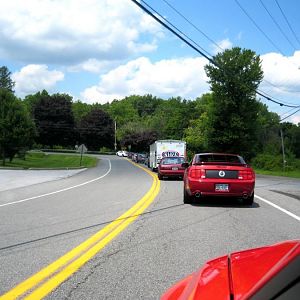 IMG 1105