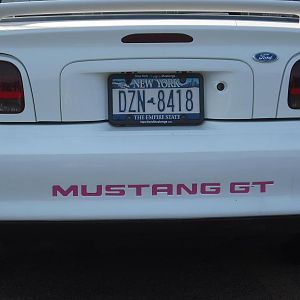 stansg33 031