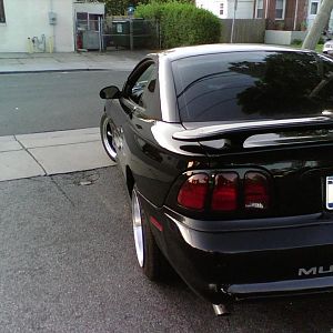 Picture 013