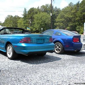 Stangs 2