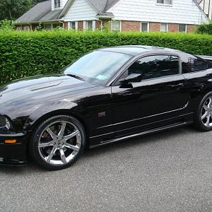 saleen 004