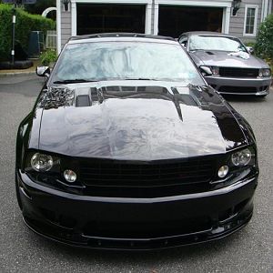 saleen 005