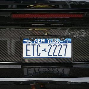 saleen 009