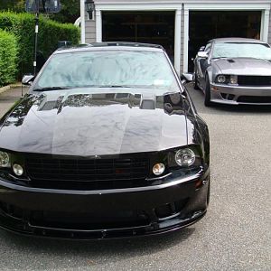 saleen 019